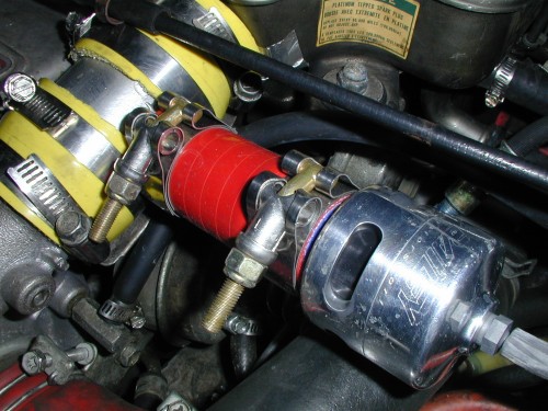 bailey3.jpg (66952 bytes)